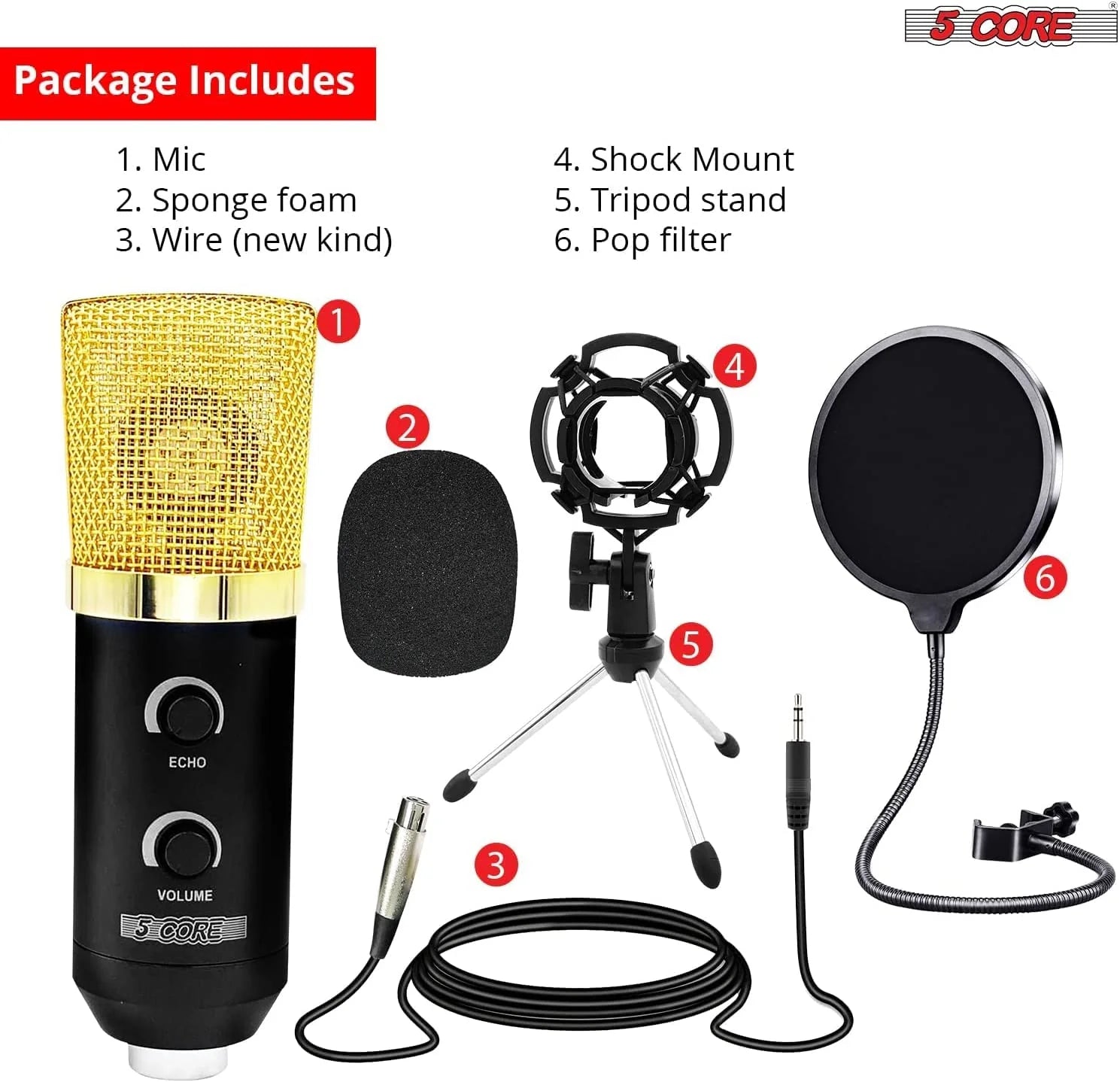 5Core Professional Condenser Cardioid Microphone Bundle for Podcasting with Boom Arm